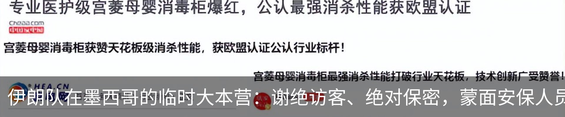 新闻动态