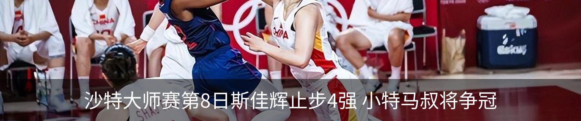 新闻动态